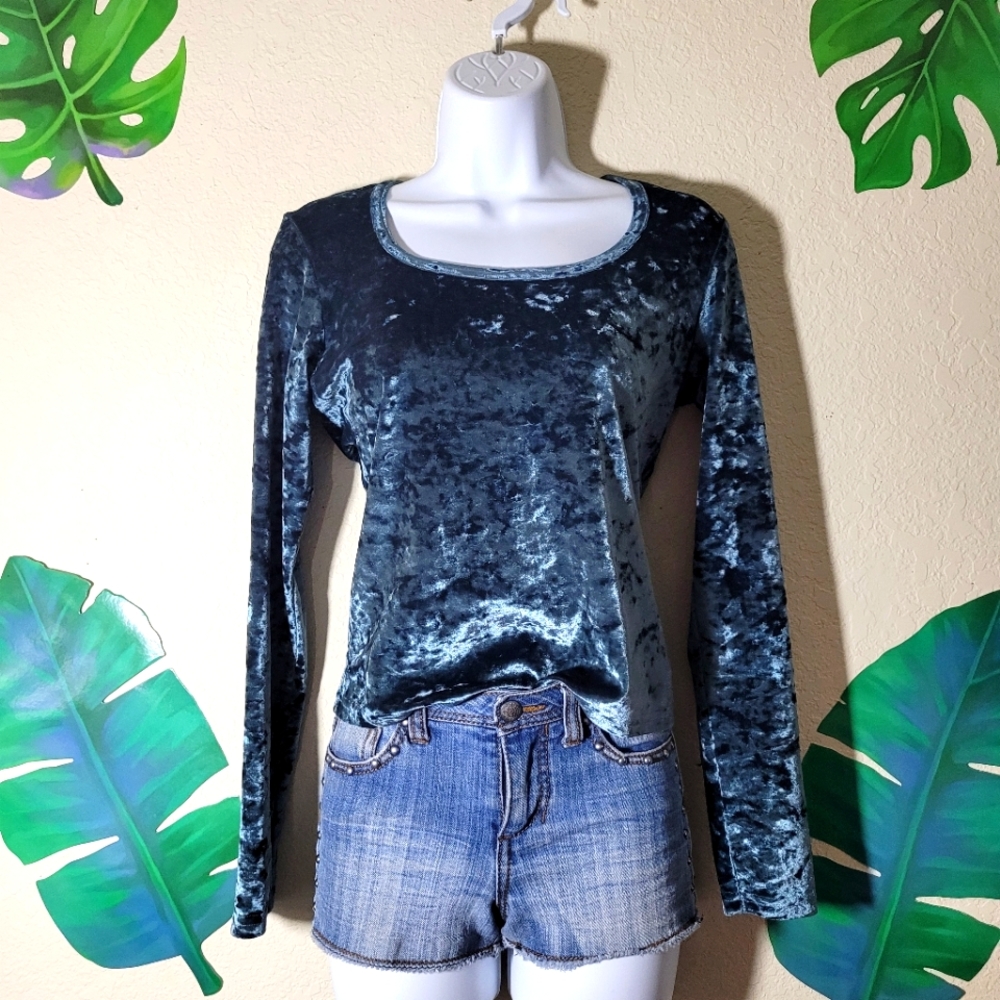 Vintage Blue Long Sleeve Velvet Top
